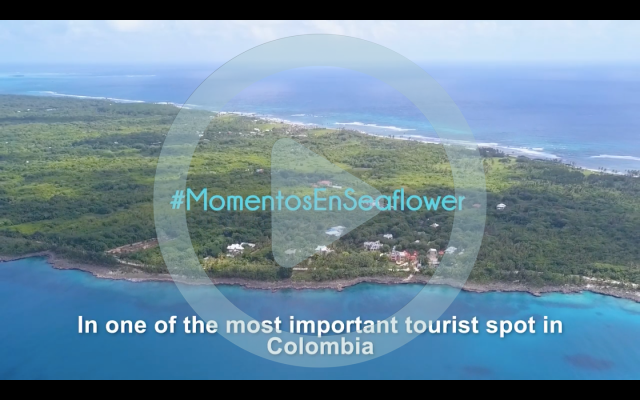 Momentos en seaflower